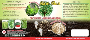 Nấm men